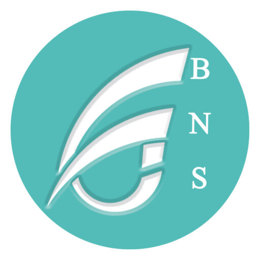 bnspower